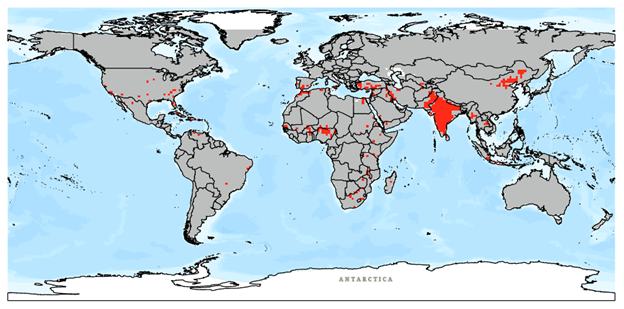 World map displaying the Raster 1. Continents are shown in grey, oceans in light blue. Red dots indicate the selected areas, with notable concentrations in India, eastern China, Europe, and the eastern United States. India is prominently marked with a large red area. Antarctica is labeled but shows no population density