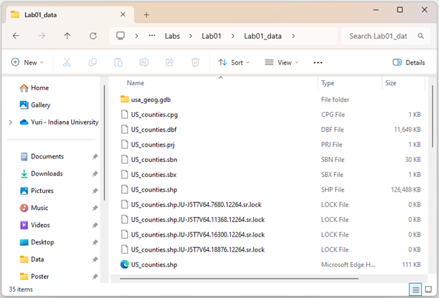 Screenshot of a file explorer window displaying the contents of the "Lab01_data" folder. The folder includes geographic data files related to US counties, such as "usa_geog.gdb" and multiple files with extensions like .cpg, .dbf, .prj, .sbn, .sbx, .shp, and .lock. The selected file is "US_counties.shp," with a size of 126,488 KB.