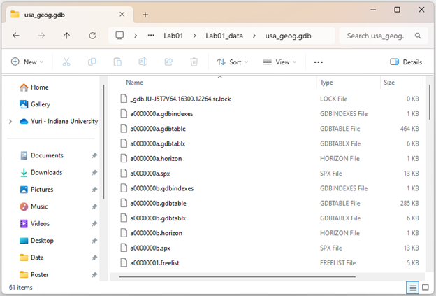 Screenshot of a file explorer window displaying the contents of the "usa_geog.gdb" folder, located under "Lab01 > Lab01_data > usa_geog.gdb." The right pane lists various GIS-related files with extensions such as .lock, .gdbindexes, .gdbtable, .gdbtablx, .horizon, .spx, and .freelist. File types include LOCK File, GDBINDEXES File, GDBTABLE File, GDBTABLX File, HORIZON File, SPX File, and FREELIST File, with sizes ranging from 0 KB to 464 KB.