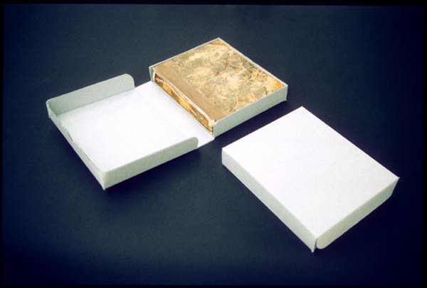 Open corrugated clamshell box with a book inside
