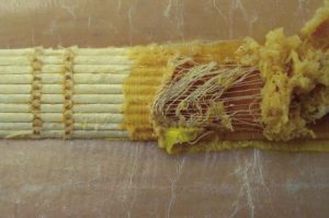 Spine linings partially removed