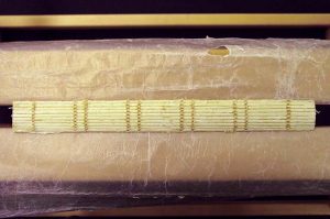 Text block spine after cleaning off old linings
