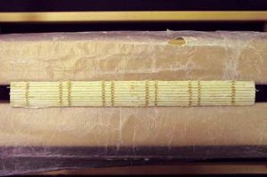 Cleaned spine