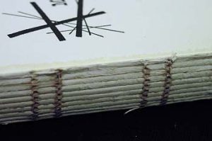 Close up of the stitching from the spine view
