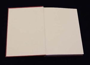 The pastedown endsheet after pressing