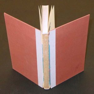 Book with spine cover and cloth from boards removed