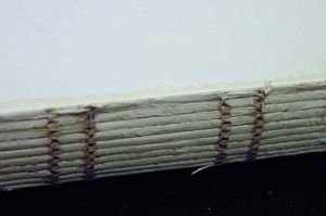 Close up of stitches on the spine