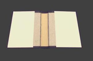 1" strip of the pastedown removed from cover