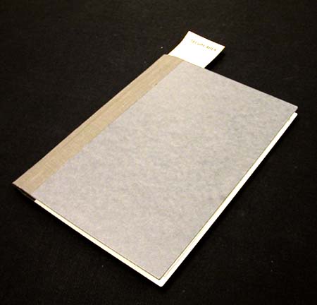 Finished pamphlet with pocket, closed