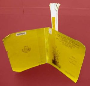 Paperback, adhesive-bound book with cover removed