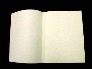 3 part endsheet, open