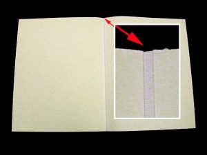 3-part endsheet showing hinge cloth