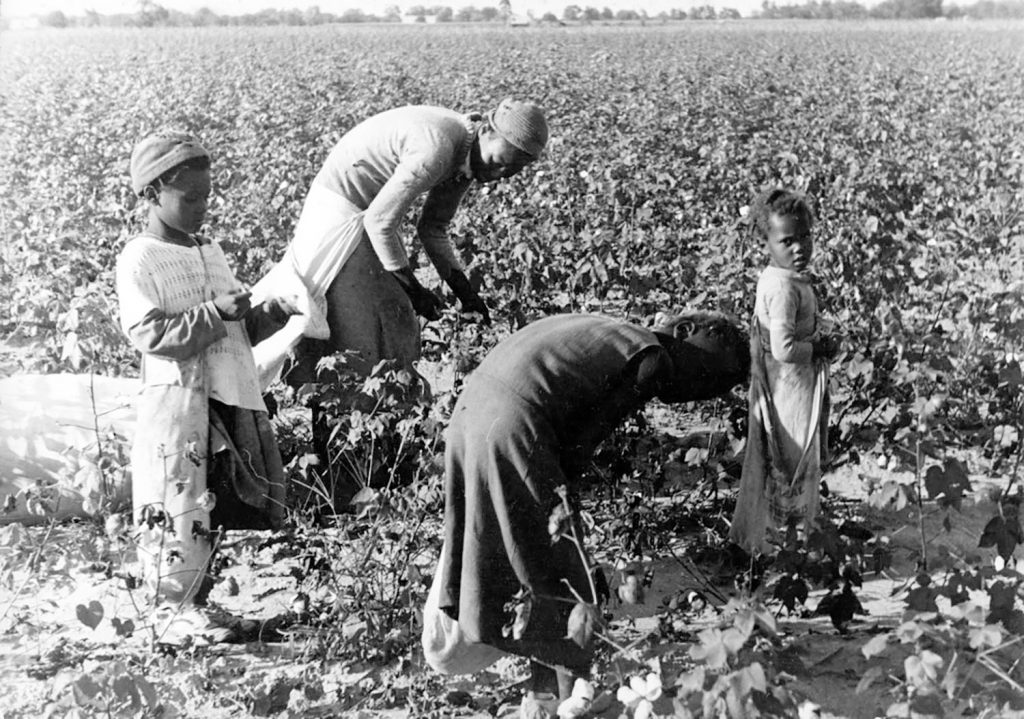 Black sharecroppers. “Black woman and young girls picking cotton,” by Louise Boyle, 1937 (Southern Tenant Farmers Union Photographs, 1937 and 1982. Courtesy the Kheel Center for Labor Management Documentation and Archives, Cornell University, CC BY 2.0).