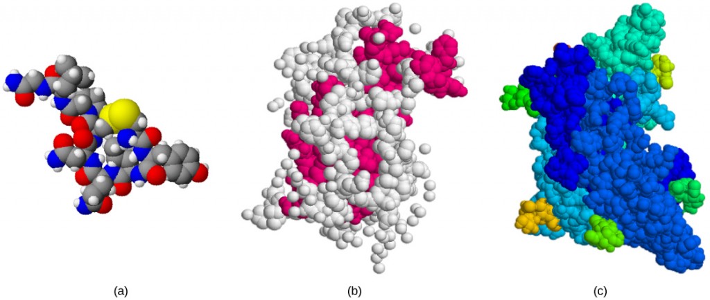 Figure_37_01_03abc