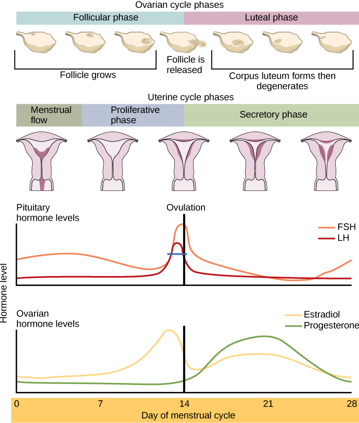 Figure_43_04_04