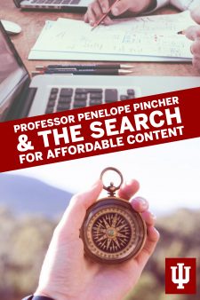 Professor Penelope Pincher &amp; the Search for Affordable Content book cover