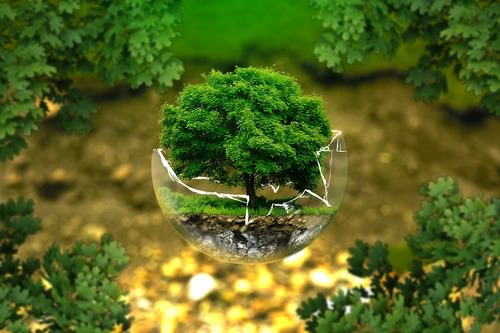 what is environmental science what is environmental science