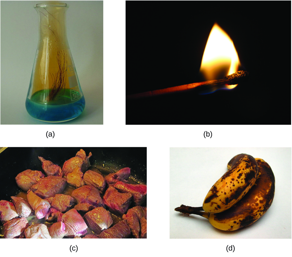Figure A is a photo of the flask containing a blue liquid. Several strands of brownish copper are immersed into the blue liquid. There is a brownish gas rising from the liquid and filling the upper part of the flask. Figure B shows a burning match. Figure C shows red meat being cooked in a pan. Figure D shows a small bunch of yellow bananas that have many black spots.