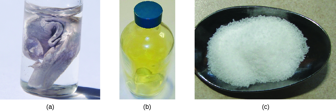 Three pictures are shown and labeled “a,” “b,” and “c,” from left to right. Image a shows a glass jar with a lid that is full of a clear, colorless liquid in which a silver solid is suspended. Image b depicts a glass bottle with a blue lid that is full of a yellow-green gas. Image c shows a black dish that is full of a white, crystalline solid.