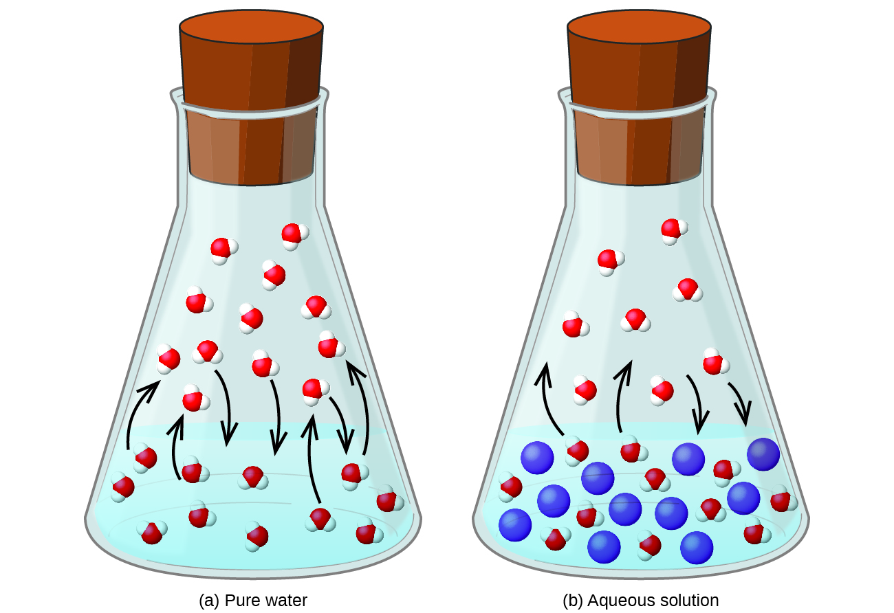 11 4 Colligative Properties Chemistry