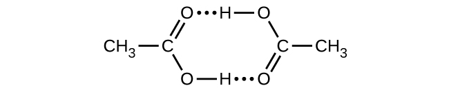 This Lewis structure shows a six-sided ring structure composed of a methyl group single bonded to a carbon, which is double bonded to an oxygen atom in an upward position and single bonded to an oxygen atom in a downward position. The lower oxygen is single bonded to a hydrogen, which is connected by a dotted line to an oxygen that is double bonded to a carbon in an upward position. This carbon is single bonded to a methyl group to its right and to an oxygen in the upward position that is single bonded to a hydrogen that is connected by a dotted line to the double bonded oxygen on the left.
