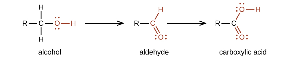 A chemical reaction with two arrows is shown. On the left, an alcohol, indicated with a C atom to which an R group is bonded to the left, H atoms are bonded above and below, and in red, a single bonded O atom with an H atom bonded to the right is shown. Following the first reaction arrow, an aldehyde is shown. This structure is represented with an R group bonded to a red C atom to which an H atom is bonded above and to the right, and an O atom is double bonded below and to the right. Appearing to the right of the second arrow, is a carboxylic acid comprised of an R group bonded to a C atom to which, in red, an O atom is single bonded with an H atom bonded to its right side. A red O is double bonded below and to the right. All O atoms have two pairs of electron dots.