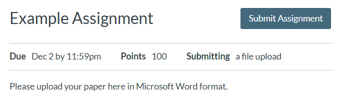 assignment view showing submit assignment button