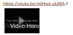 Very small video player with YouTube link URL above it