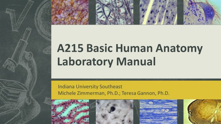 A215 Basic Human Anatomy Laboratory Manual Simple Book Publishing 1327