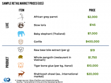 Cost-of-animals-225x168.png