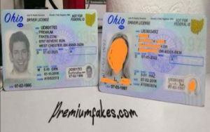 This image is a screenshot of the website premiumfakes.com where teenagers can enter their info and purchase fake IDs. The two IDs displayed are almost exactly identical, one being a real Ohio ID and one being a fake created by these producers. It demonstrates how real the fake IDs can look.