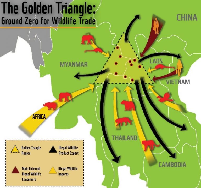 The-golden-triangle-768x721.jpg