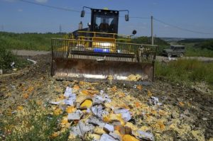 Cheese being bulldozed in a field