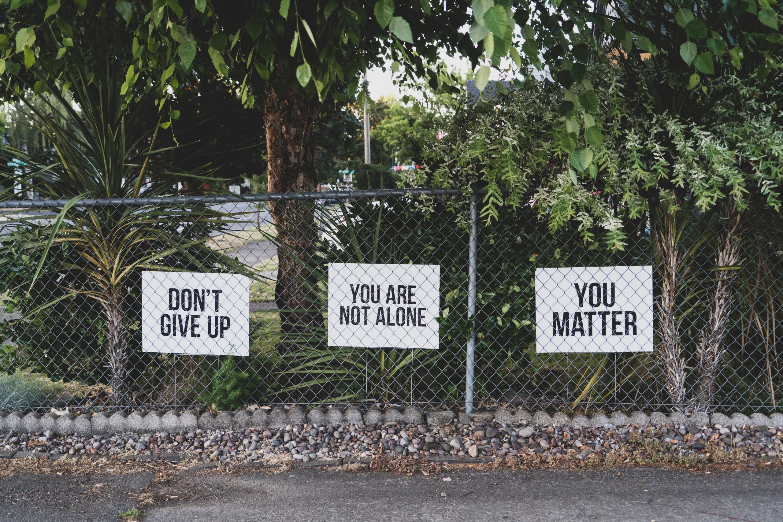 an image of three signs, saying "don't give up," "you are not alone," and "you matter"