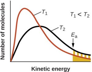 A plot of the number of molecules as a function of kinetic energy. Ea is labeled somewhere along the x axis. T1, T2 curves. T2 is lower and broader, shifted to the right. KE > Ea is shaded.