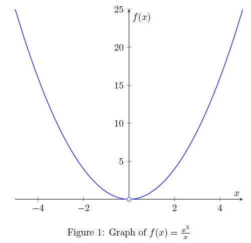 Limits and Continuity – Portfolio for Bachelor of Science in Mathematics