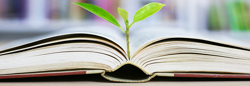 Photo of plant growing out of a book